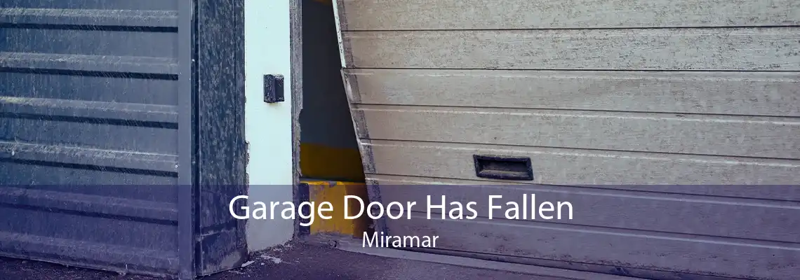 Garage Door Has Fallen Miramar