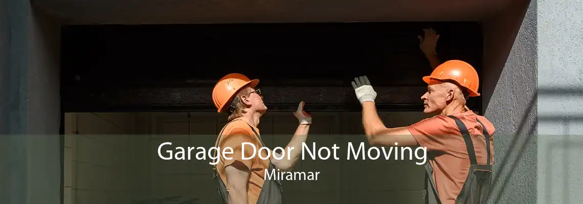 Garage Door Not Moving Miramar