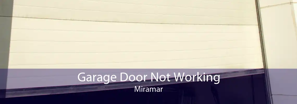 Garage Door Not Working Miramar