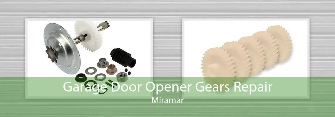 Garage Door Opener Gears Repair Miramar