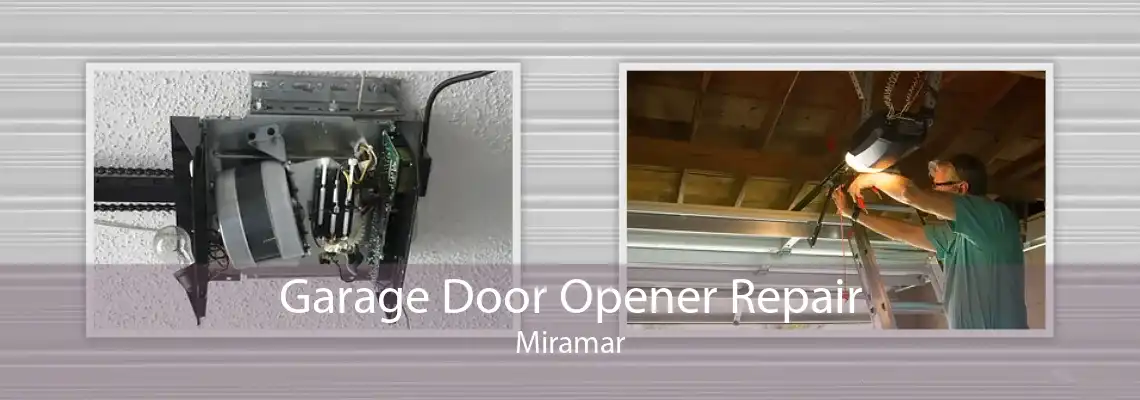 Garage Door Opener Repair Miramar