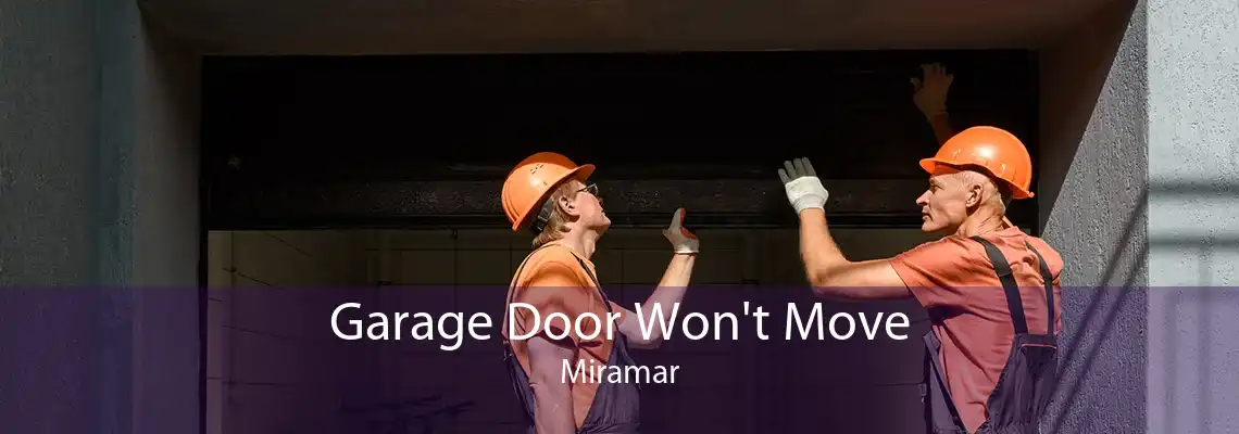 Garage Door Won't Move Miramar