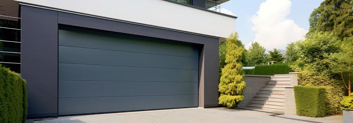 Haas Galvanized Steel Garage Door in Miramar